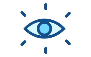 vision